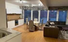 Spacious Apartment On Main Street